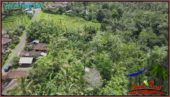 Magnificent PROPERTY LAND IN Penebel Tabanan BALI FOR SALE TJTB568