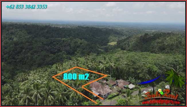 Magnificent PROPERTY LAND IN Penebel Tabanan BALI FOR SALE TJTB568