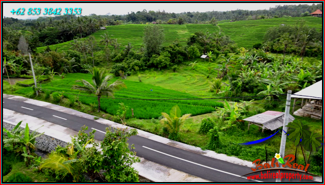 LAND SALE IN TABANAN BALI TJTB569