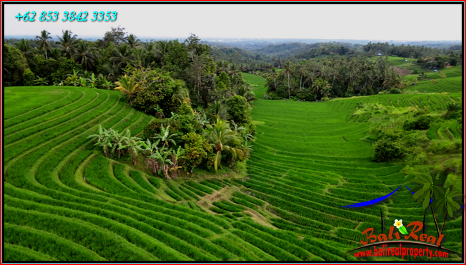 LAND SALE IN TABANAN BALI TJTB569