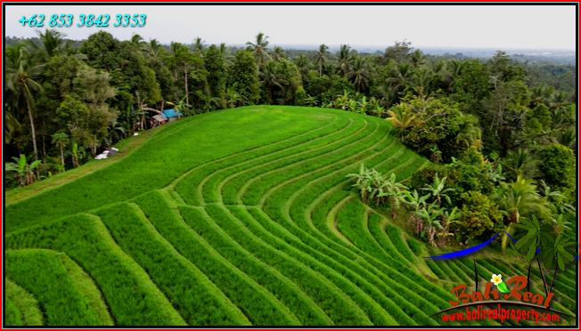 LAND SALE IN TABANAN BALI TJTB569