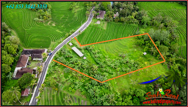 LAND SALE IN TABANAN BALI TJTB569