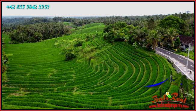 LAND SALE IN TABANAN BALI TJTB569