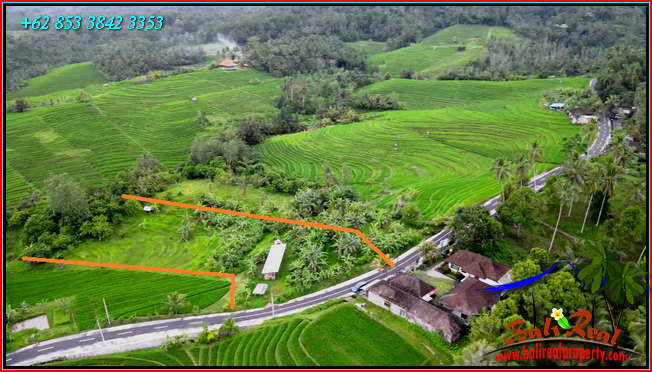 LAND SALE IN TABANAN BALI TJTB569