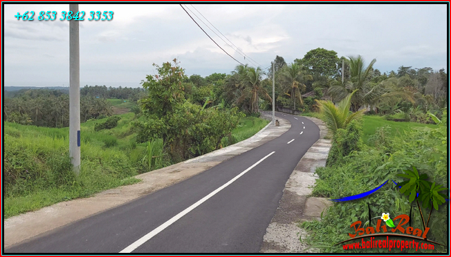 LAND SALE IN TABANAN BALI TJTB569