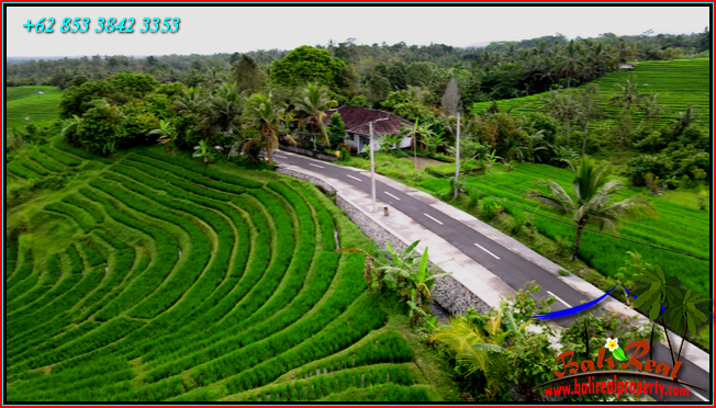 LAND SALE IN TABANAN BALI TJTB569