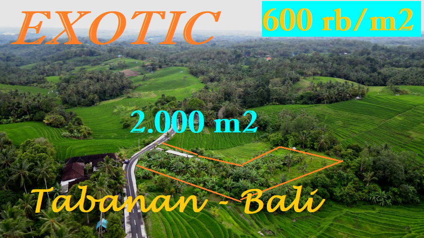 LAND SALE IN TABANAN BALI TJTB569