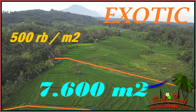 Beautiful PROPERTY TABANAN 7,600 m2 LAND FOR SALE TJTB570