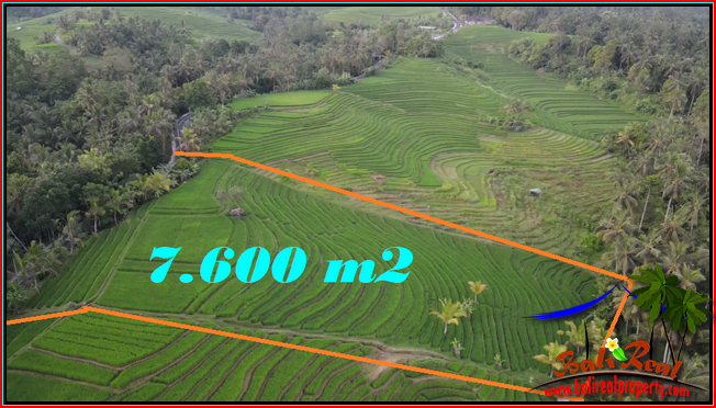 Beautiful PROPERTY TABANAN 7,600 m2 LAND FOR SALE TJTB570