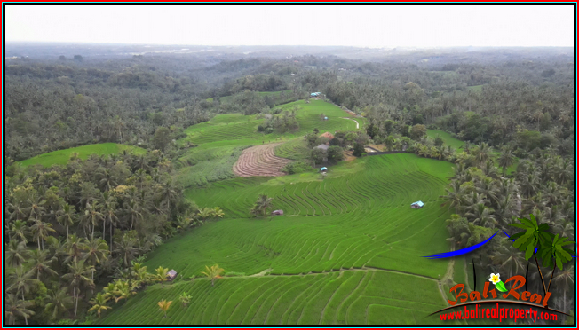 Beautiful PROPERTY TABANAN 7,600 m2 LAND FOR SALE TJTB570