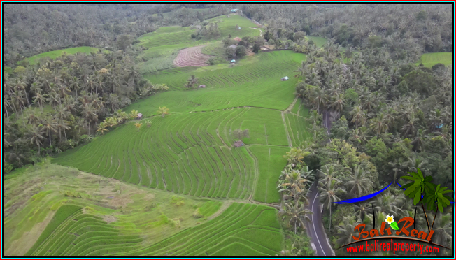 Beautiful PROPERTY TABANAN 7,600 m2 LAND FOR SALE TJTB570