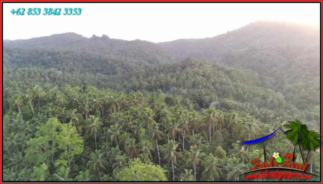 FOR SALE Magnificent PROPERTY LAND IN Selemadeg Barat TJTB549