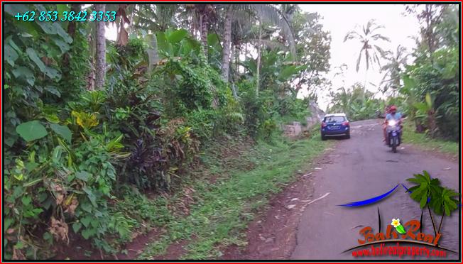 FOR SALE Magnificent PROPERTY LAND IN Selemadeg Barat TJTB549