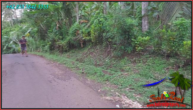 FOR SALE Magnificent PROPERTY LAND IN Selemadeg Barat TJTB549