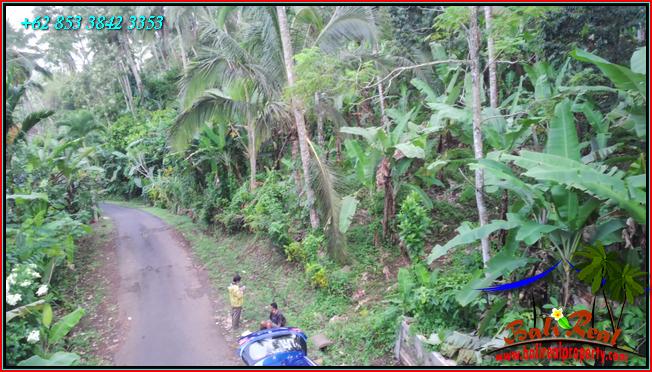 FOR SALE Magnificent PROPERTY LAND IN Selemadeg Barat TJTB549