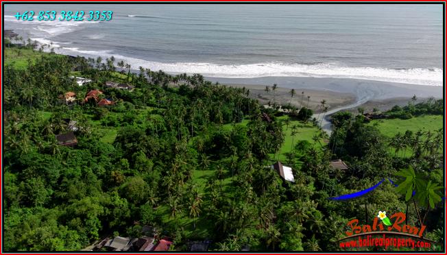 LAND IN TABANAN BALI FOR SALE TJTB550