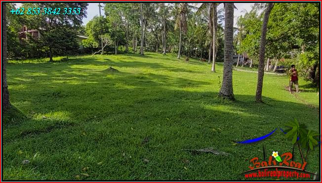 LAND IN TABANAN BALI FOR SALE TJTB550