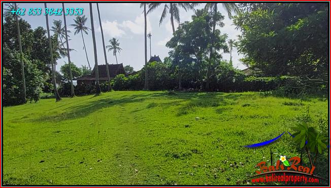 LAND IN TABANAN BALI FOR SALE TJTB550