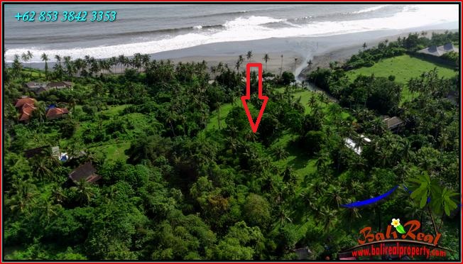 LAND IN TABANAN BALI FOR SALE TJTB550