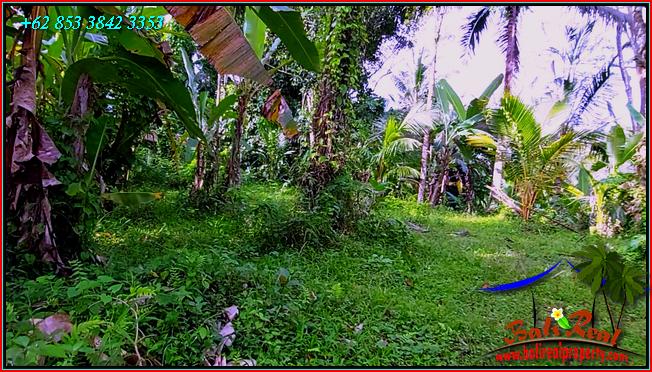 FOR SALE Affordable PROPERTY LAND IN TABANAN BALI TJTB552