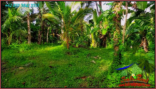 FOR SALE Affordable PROPERTY LAND IN TABANAN BALI TJTB552