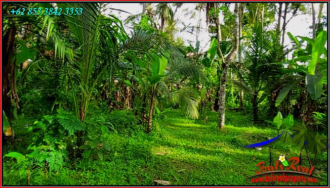 FOR SALE Affordable PROPERTY LAND IN TABANAN BALI TJTB552