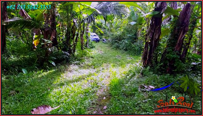 FOR SALE Affordable PROPERTY LAND IN TABANAN BALI TJTB552