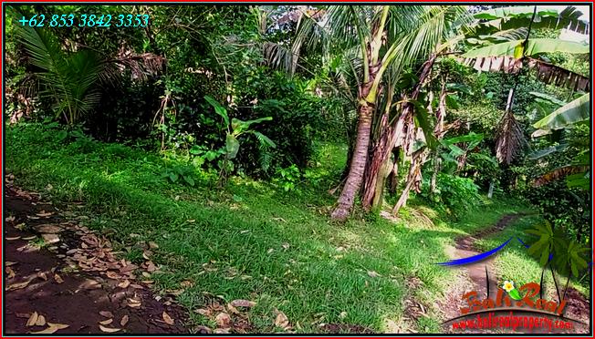 FOR SALE Affordable PROPERTY LAND IN TABANAN BALI TJTB552