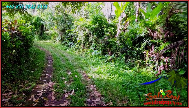 FOR SALE Affordable PROPERTY LAND IN TABANAN BALI TJTB552