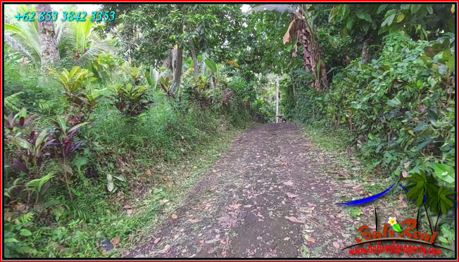 Cheap property LAND FOR SALE IN Penebel Tabanan TJTB553