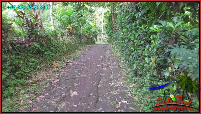 Cheap property LAND FOR SALE IN Penebel Tabanan TJTB553