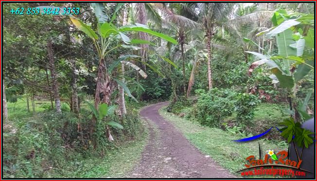 Cheap property LAND FOR SALE IN Penebel Tabanan TJTB553