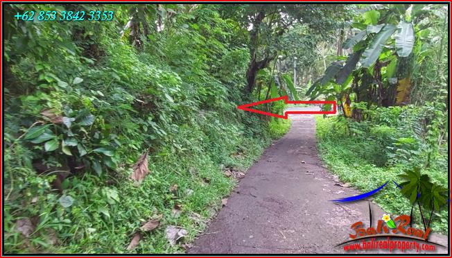 Cheap property LAND FOR SALE IN Penebel Tabanan TJTB553