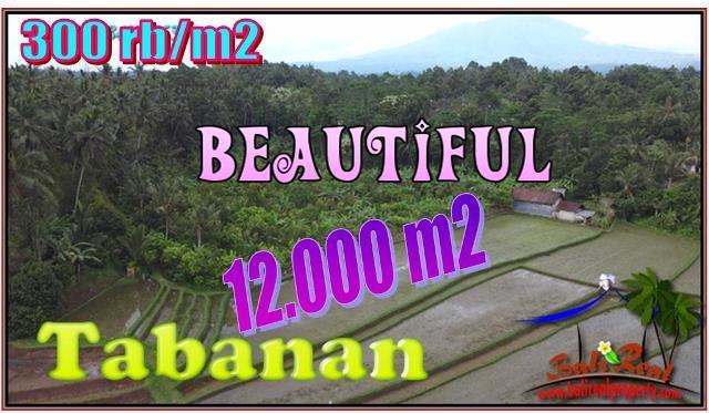 Magnificent PROPERTY LAND IN Pupuan Tabanan FOR SALE TJTB554