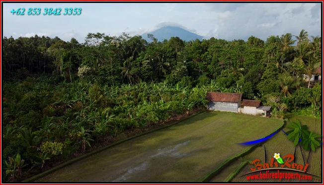 Magnificent PROPERTY LAND IN Pupuan Tabanan FOR SALE TJTB554