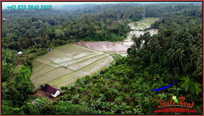 Magnificent PROPERTY LAND IN Pupuan Tabanan FOR SALE TJTB554