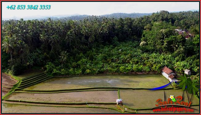 Magnificent PROPERTY LAND IN Pupuan Tabanan FOR SALE TJTB554