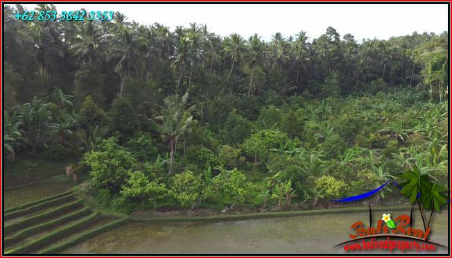 Magnificent PROPERTY LAND IN Pupuan Tabanan FOR SALE TJTB554