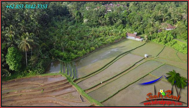 Magnificent PROPERTY LAND IN Pupuan Tabanan FOR SALE TJTB554