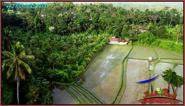 Magnificent PROPERTY LAND IN Pupuan Tabanan FOR SALE TJTB554