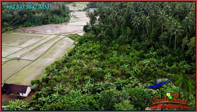 Magnificent PROPERTY LAND IN Pupuan Tabanan FOR SALE TJTB554