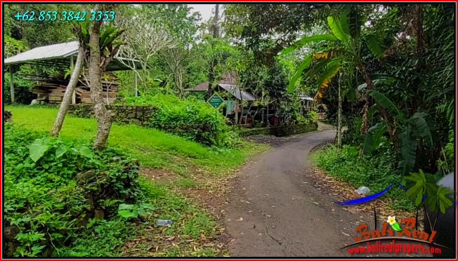 Affordable LAND IN TABANAN BALI FOR SALE TJTB555