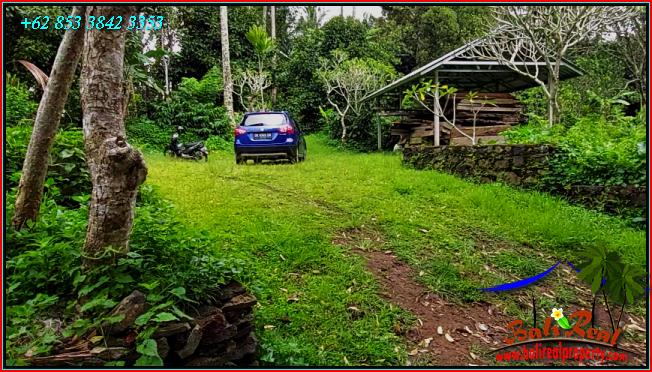 Affordable LAND IN TABANAN BALI FOR SALE TJTB555