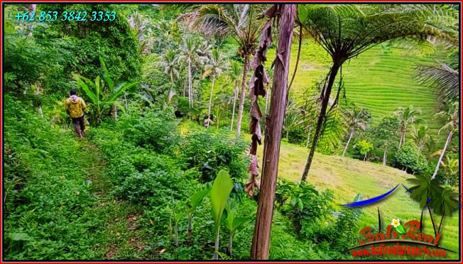 Affordable LAND IN TABANAN BALI FOR SALE TJTB555