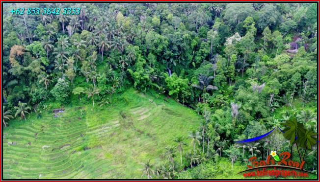 Affordable LAND IN TABANAN BALI FOR SALE TJTB555