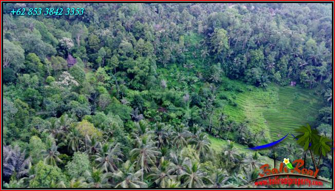 Affordable LAND IN TABANAN BALI FOR SALE TJTB555