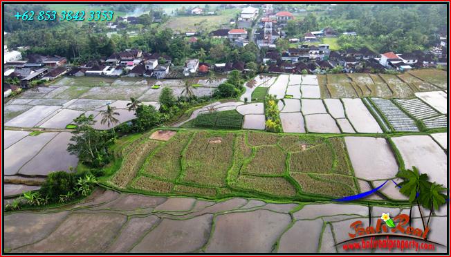 Affordable PROPERTY LAND FOR SALE IN Penebel Tabanan TJTB559