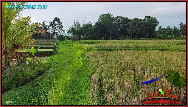 Affordable PROPERTY LAND FOR SALE IN Penebel Tabanan TJTB559