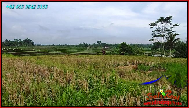 Affordable PROPERTY LAND FOR SALE IN Penebel Tabanan TJTB559