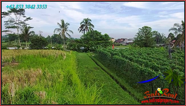 Affordable PROPERTY LAND FOR SALE IN Penebel Tabanan TJTB559